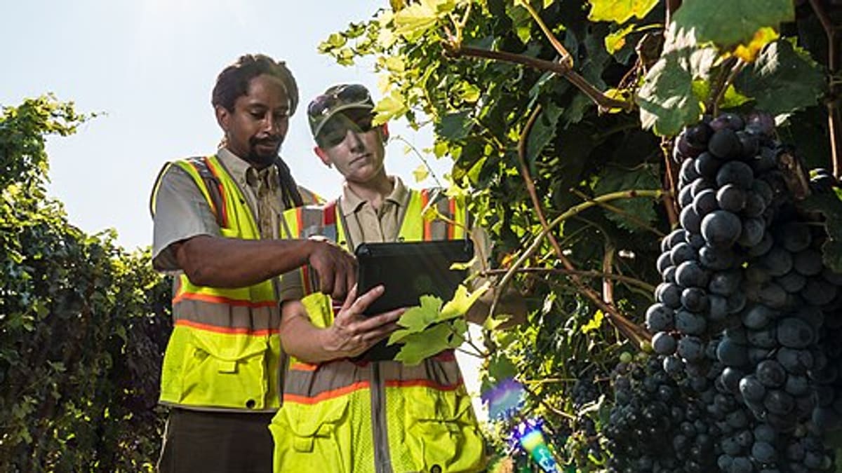 What to Include in a Field Service Report: A Template Customers Actually Value