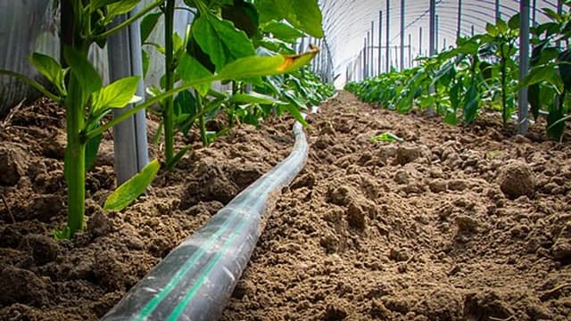 Irrigation Equipment Service Software: Drip and Sprinkler Installations, Farm Visits and AMCs