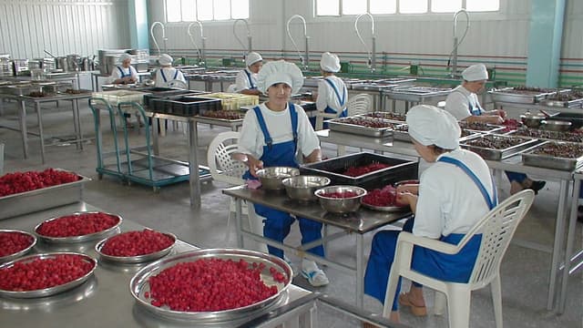 MES for Food and Beverage Manufacturing: Recipes, Batches, Expiry and Recall Readiness